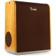 FENDER ACOUSTIC SFX