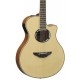 YAMAHA APX500 III NAT