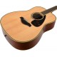 YAMAHA FG820-12 NT
