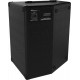 AMPEG BA-110v2
