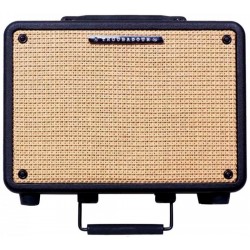 IBANEZ T30