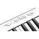 IK MULTIMEDIA IRIG KEYS PRO
