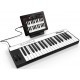 IK MULTIMEDIA IRIG KEYS PRO