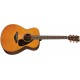 YAMAHA FS800 T