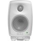GENELEC 8010AW