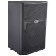 PEAVEY PVXP 10