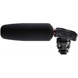 TASCAM DR-10 SG