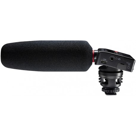 TASCAM DR-10 SG