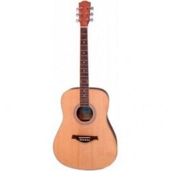 PARKSONS RFG001-41N