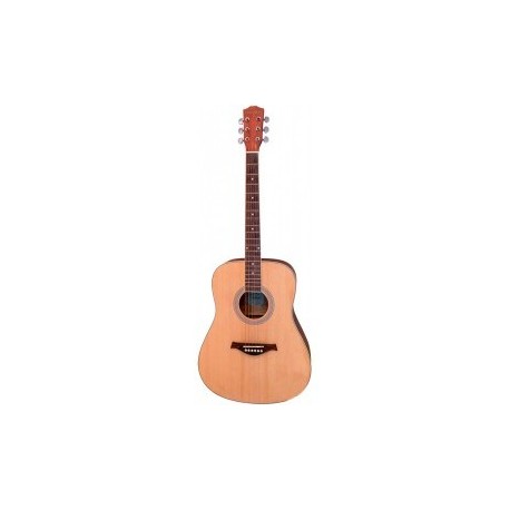 PARKSONS RFG001-41N