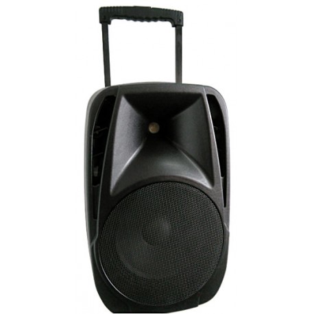 SOUNDKING SKA10T