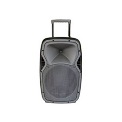 SOUNDKING SKA12T