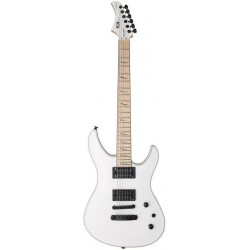 FUJIGEN JMY-AL-M/MWH
