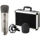 BEHRINGER B2 PRO
