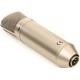BEHRINGER B2 PRO