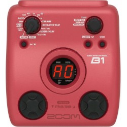 ZOOM B1