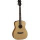 CORT AF505 OP
