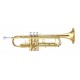 MAXTONE TTC6L
