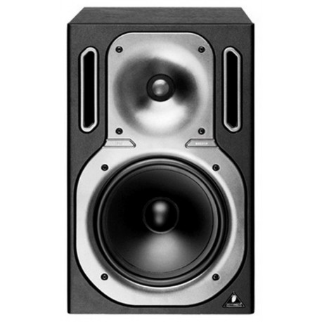 BEHRINGER B2031P