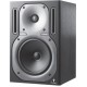 BEHRINGER B2030P