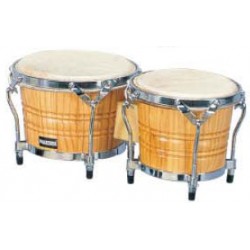 Maxtone B-10AG