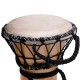 MAXTONE DJC 5L