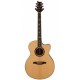 PRS ANCUP