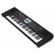 ROLAND BK3 BK