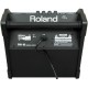 ROLAND PM10