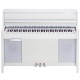 KURZWEIL CUP-2 PW