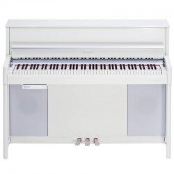 KURZWEIL CUP-2 PW