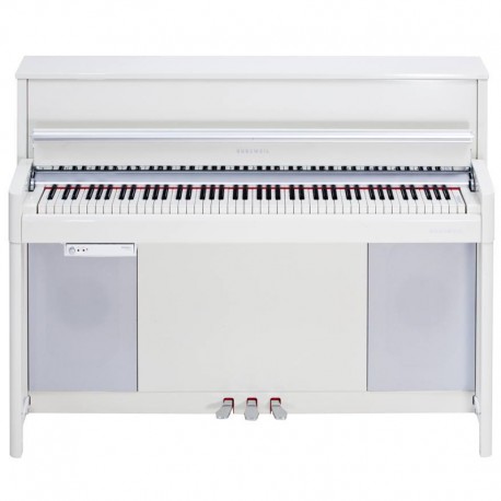 KURZWEIL CUP-2 PW
