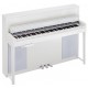 KURZWEIL CUP-2 PW