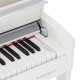 KURZWEIL CUP-2 PW