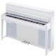 KURZWEIL CUP-2 PW