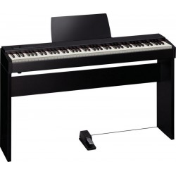 ROLAND F20DW+S