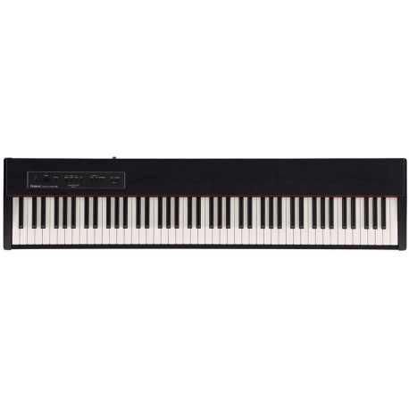 ROLAND F20CB