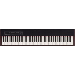 ROLAND F20-DW