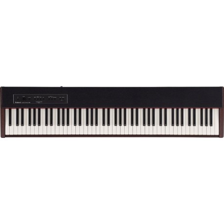 ROLAND F20-DW