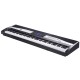 KURZWEIL KA-110
