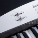 KURZWEIL KA-110
