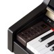 Kurzweil MP10 SR