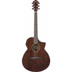 IBANEZ AEW40CD NT