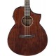 IBANEZ AEW40CD NT