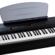 KURZWEIL MPS20