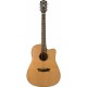 WASHBURN WD160 SWCE