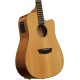 WASHBURN WD160 SWCE