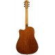 WASHBURN WD160 SWCE