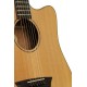 WASHBURN WD160 SWCE