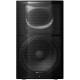 PIONEER XPRS-15